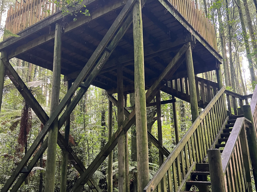 Yarndley's Bush-Te Awamutu必去景点