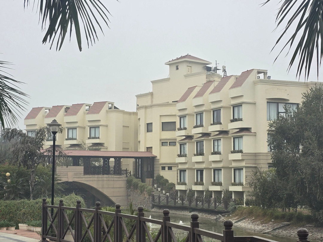 The Stellar Gymkhana主图