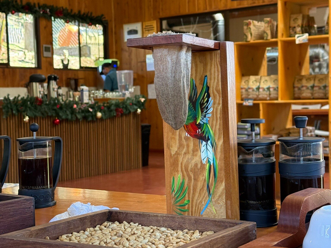 Café Monteverde Coffee Tour-圣埃伦娜必去景点