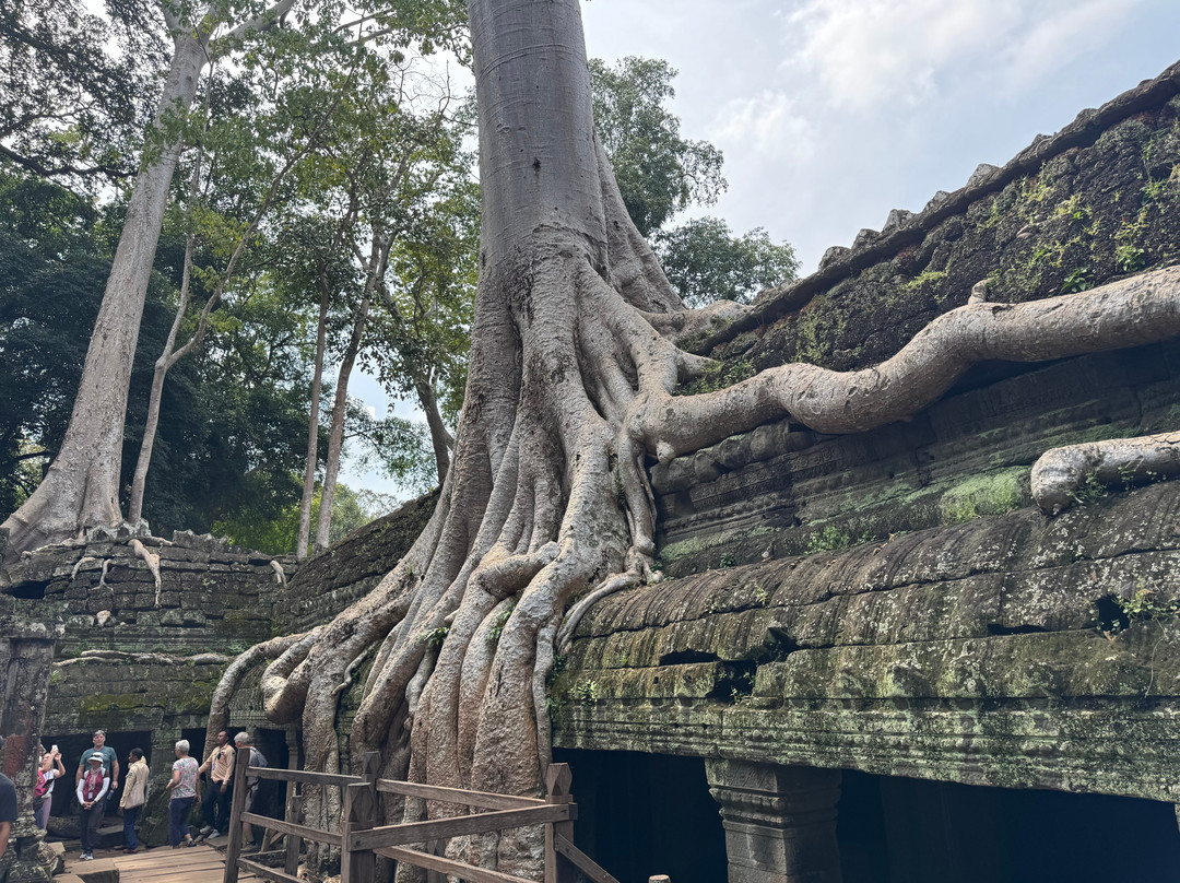 Cambodia Private Car Service-金边必去景点