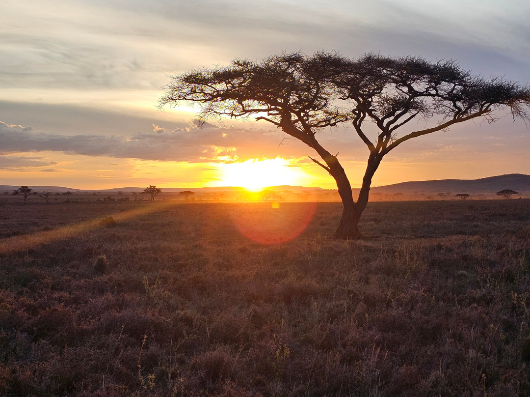 歌珊地非洲游猎之旅-阿鲁沙必去景点