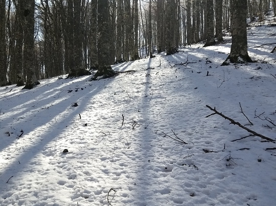 Ivy Tour-马拉泰亚必去景点