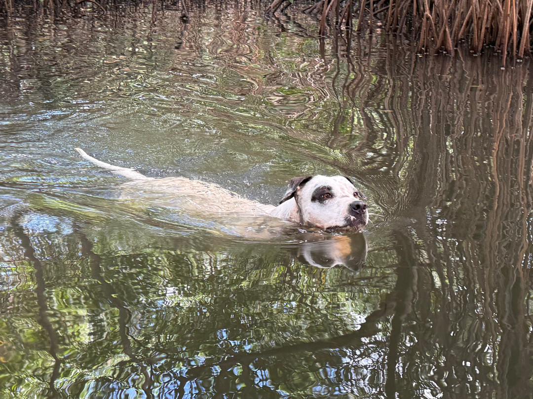 Panamore-Portobelo必去景点