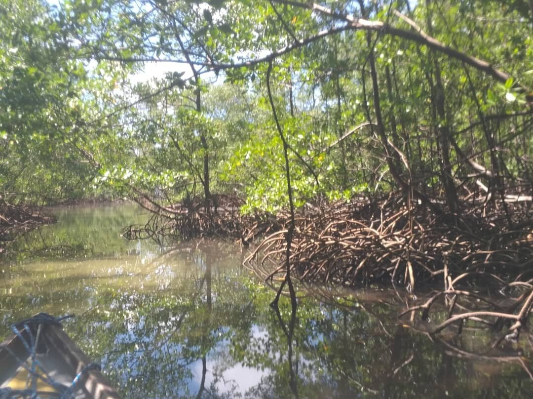 VALDIR ECOTURISMO Garapuá-Garapua必去景点