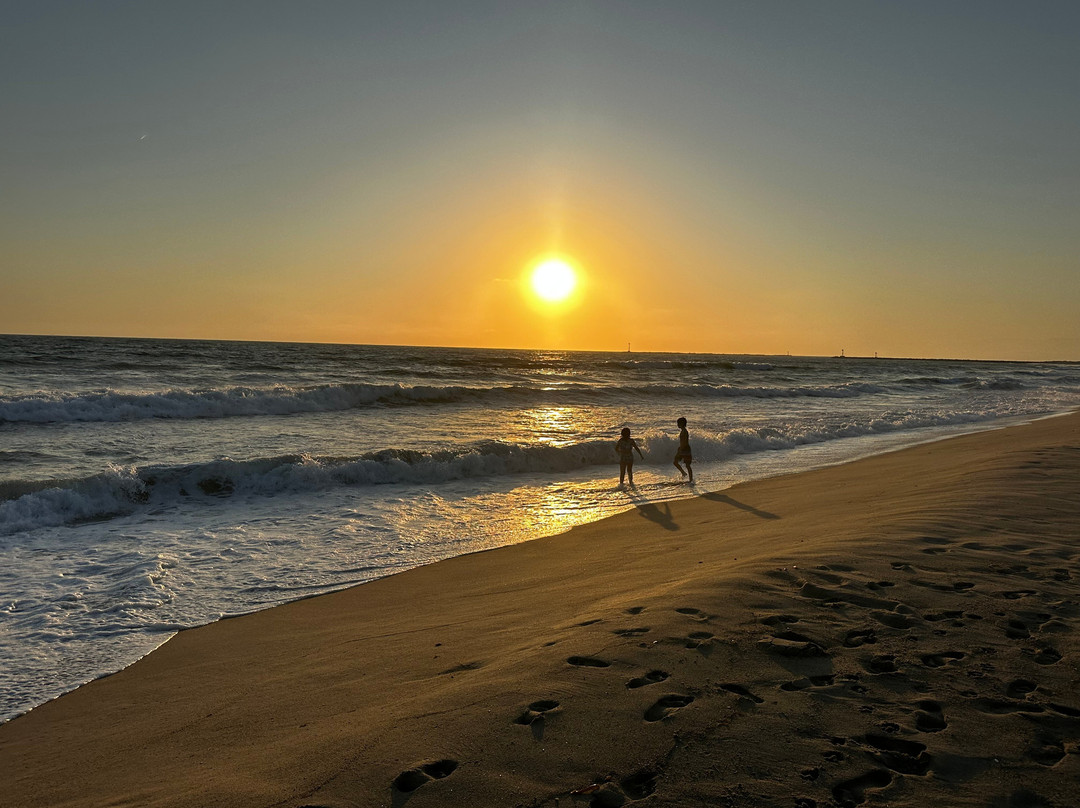 Silver Strand Beach-奥克斯纳德必去景点