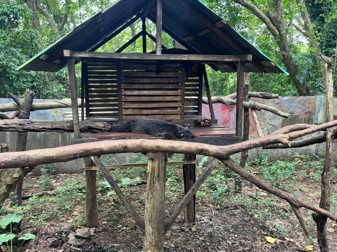 Palawan Wildlife Rescue and Conservation Center-公主港必去景点