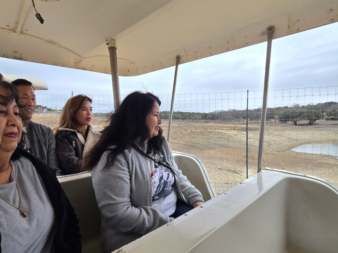 Grapetown Vineyard-弗雷德里克斯堡必去景点