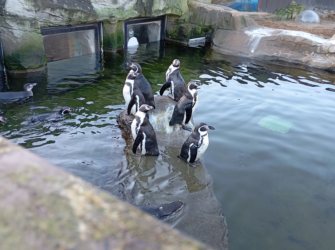 Sea Life Scarborough-斯卡伯勒必去景点