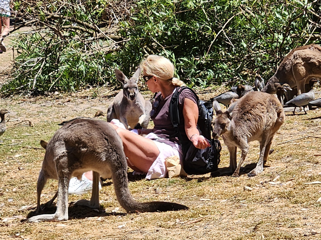 Warrawong Wildlife Sanctuary-Mylor必去景点