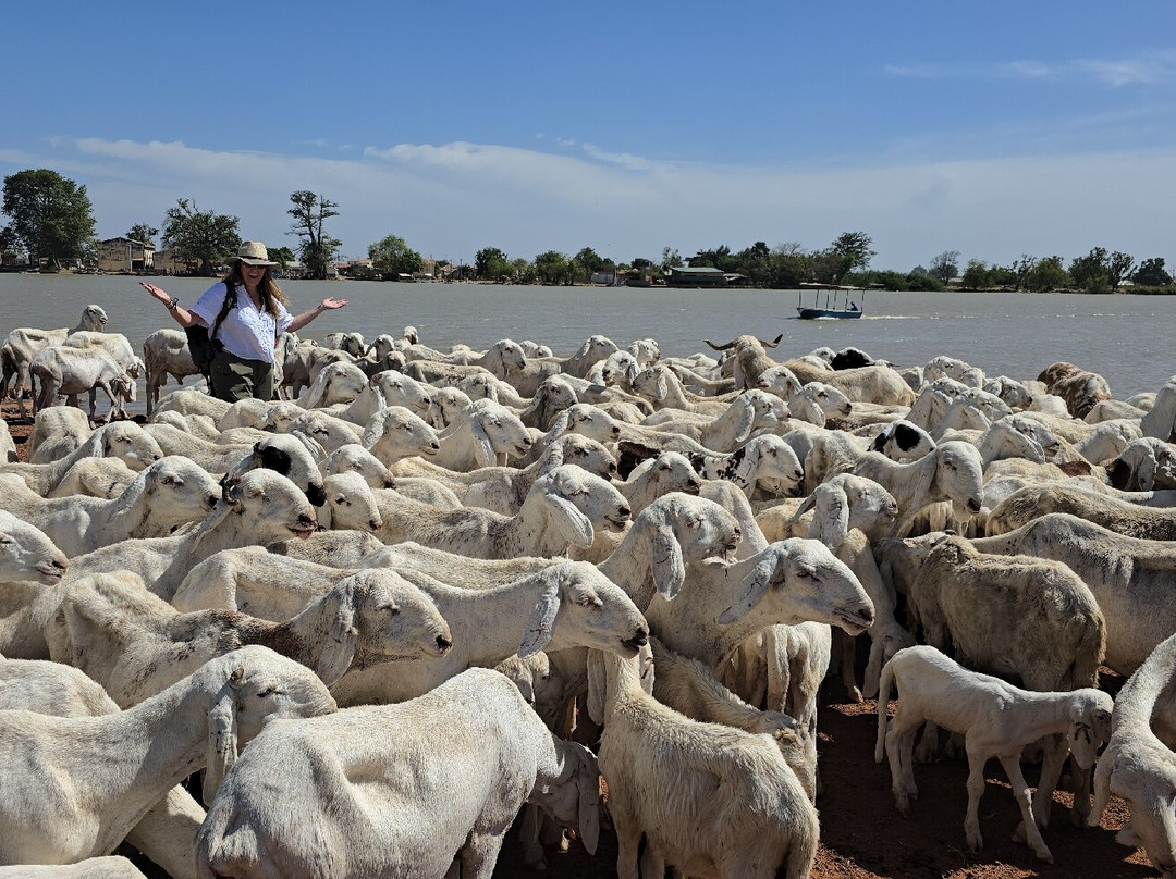 Bushwhacker Tours-Kololi必去景点