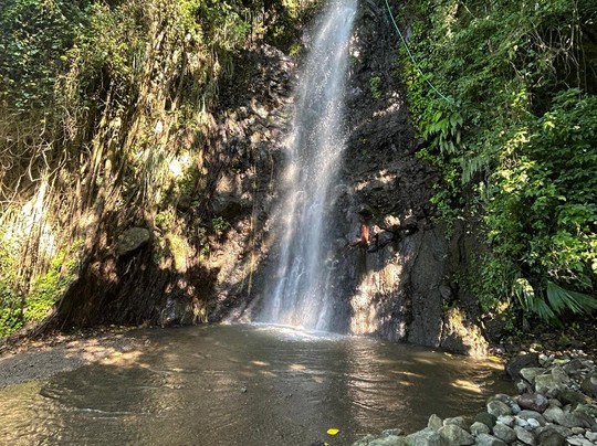 Alex Croisiere Grenadines et Caraibe-Le Marin必去景点