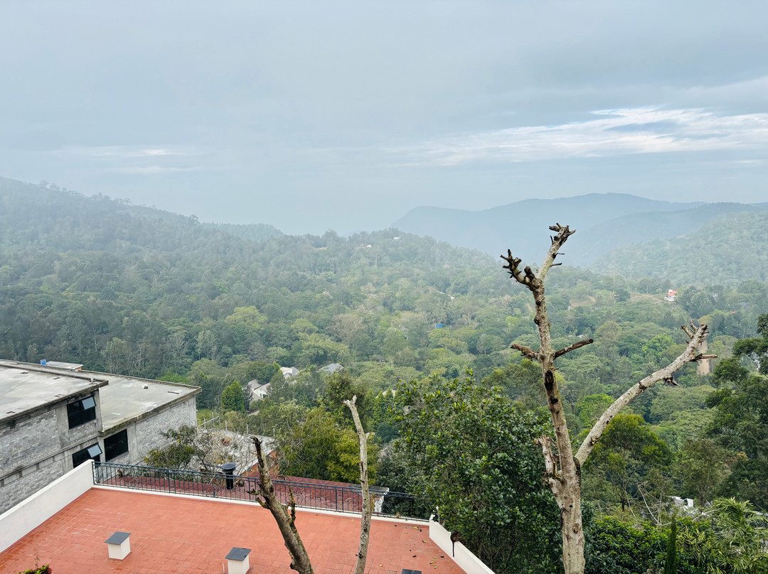 Mango Hill Yercaud主图