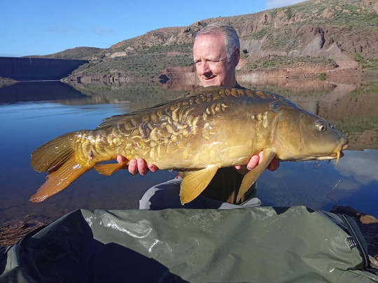 Carp Gran Canaria-San Bartolome de Tirajana必去景点