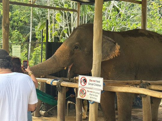 Lanta Island Elephant Lover-Khlong Hin必去景点