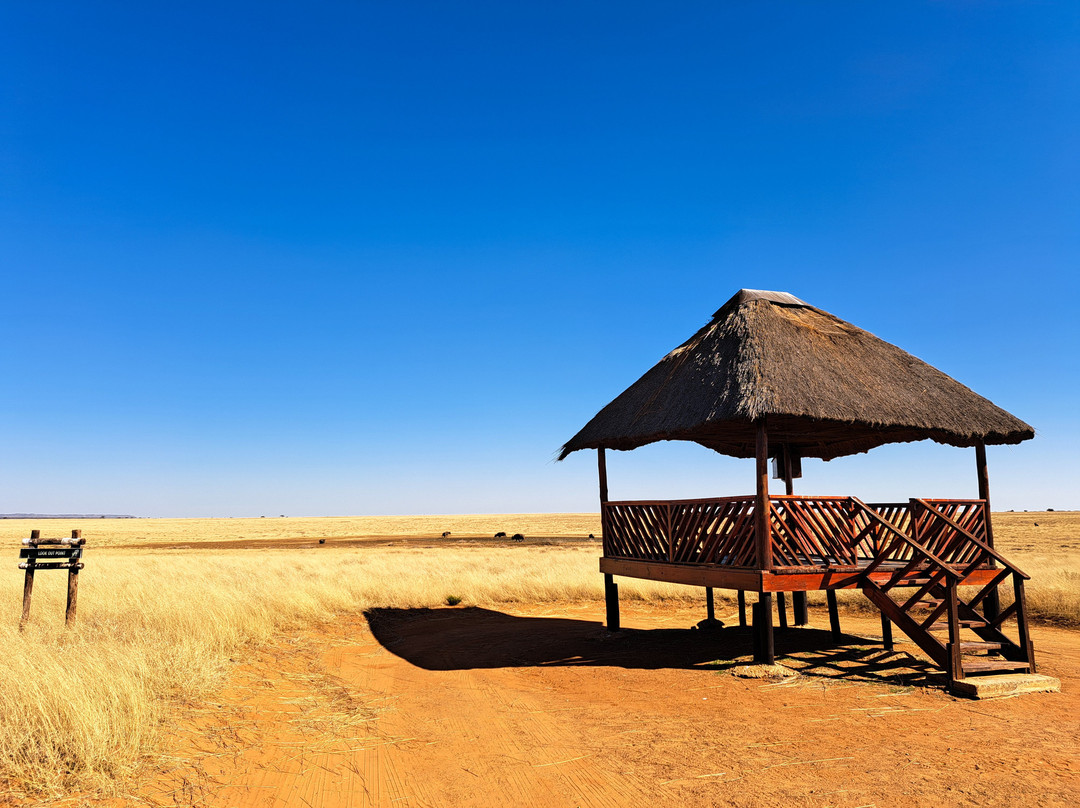 Mokala National Park-金伯利必去景点