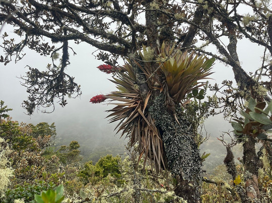 Mongui Mágico-Mongui必去景点