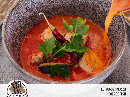 Sub Cetate酒店住宿-Kotyogó