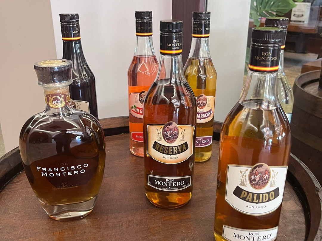 Ron Montero-莫特里尔必去景点