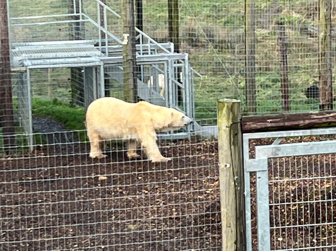 Jimmy's Farm & Wildlife Park-伊普斯威奇必去景点