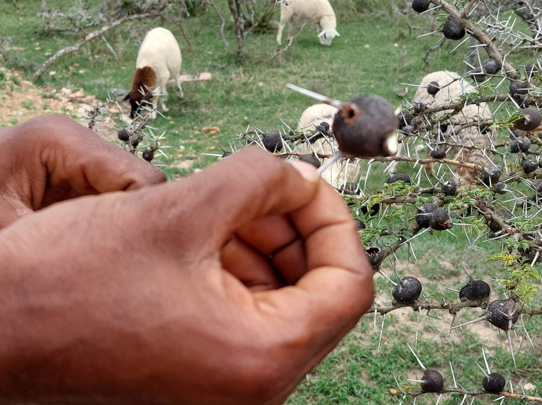 Tanzania-Experience-阿鲁沙必去景点