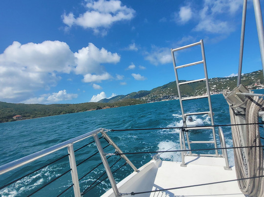 Castaway Cat-夏洛特阿马利亚必去景点