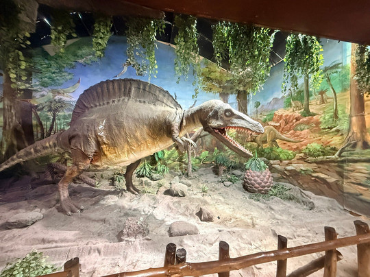 韦斯工业和科技博物馆-班加罗尔必去景点