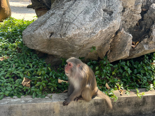 Hoi An Day Trip Company-会安必去景点