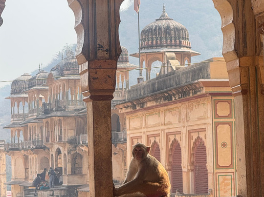 Namaste Private Driver India-新德里必去景点