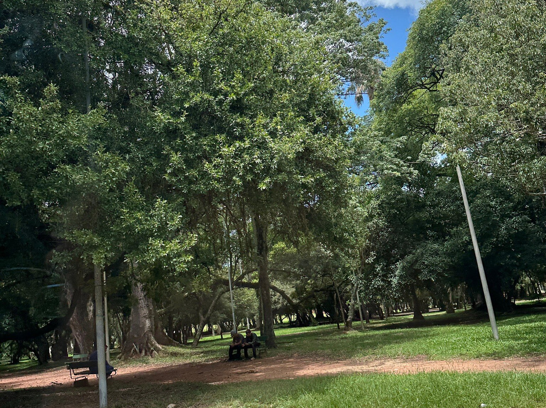 法鲁皮尔哈公园 (RedenÃ§Ã£o)-阿雷格里港必去景点