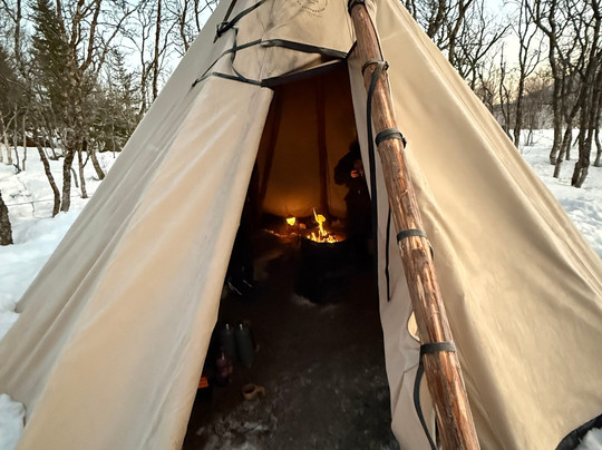 Kvaløya Husky-特罗姆瑟必去景点