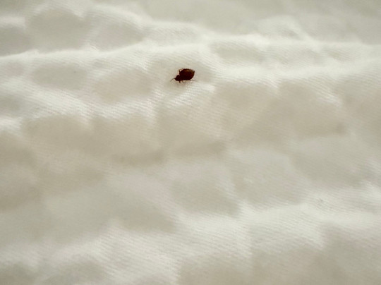 Holiday Inn Express & Suites Vicksburg By IHG主图