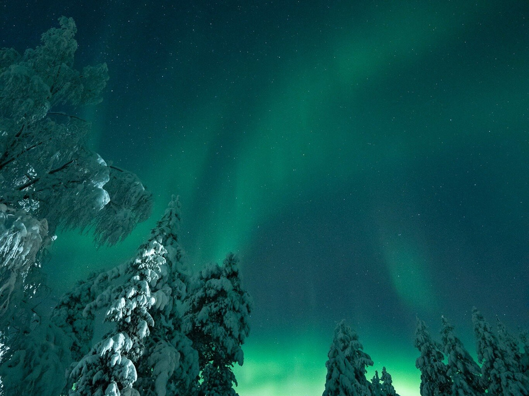 Juki Tours-Levi必去景点