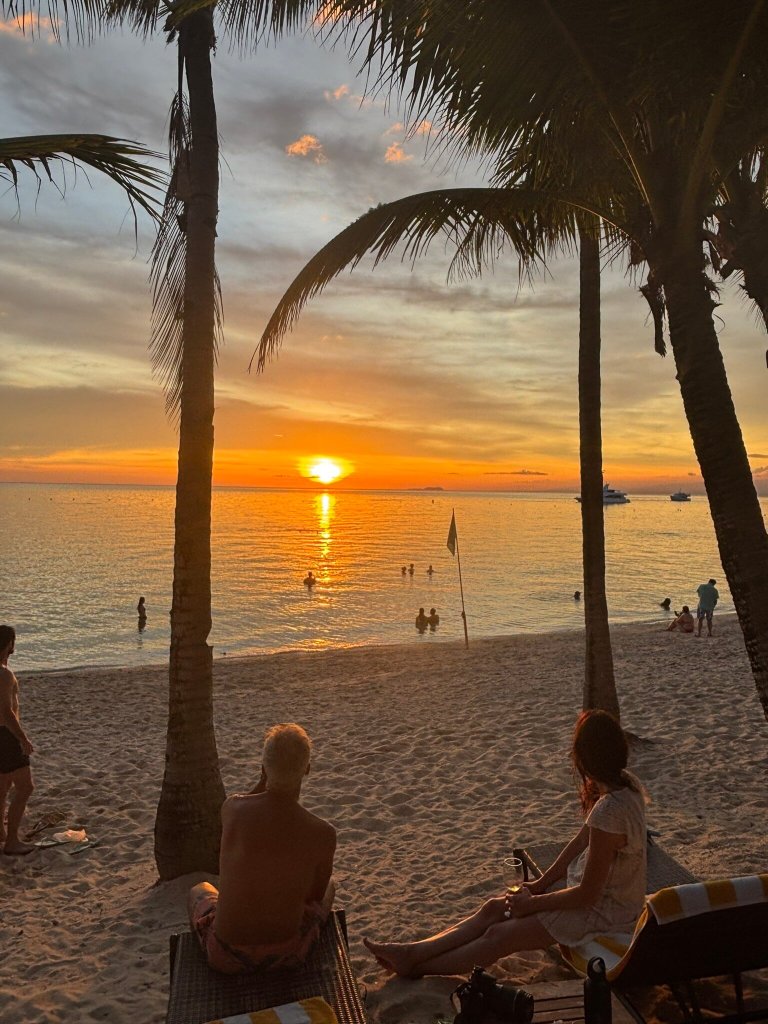 椰树林海滩度假村-官方