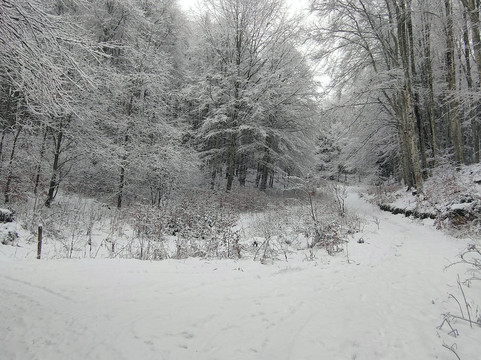 Pian del Cansiglio-Tambre必去景点