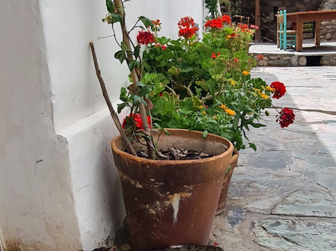 Hosteria Villa Cardon主图