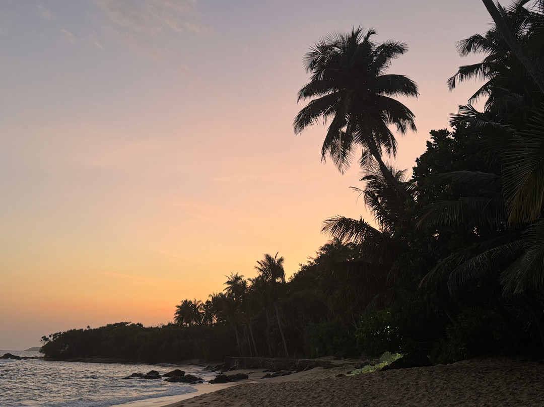 Sri Lanka Car van Hire with Sanjeewa Perera-康提必去景点