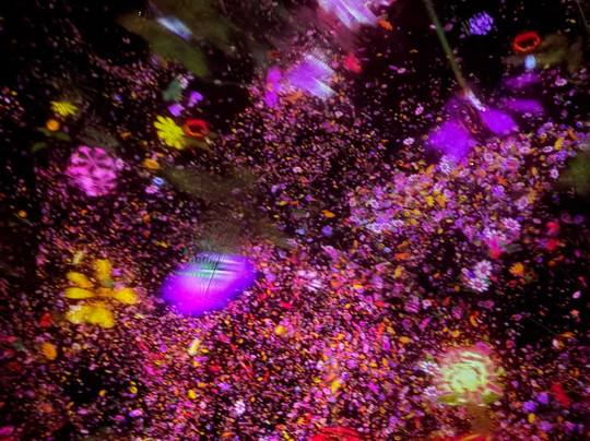 teamLab Planets TOKYO-Toyosu必去景点