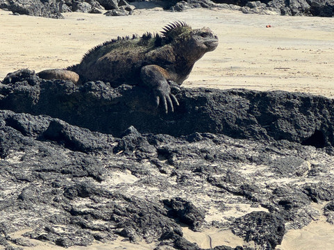 Galapagos Surf Adventure-Puerto Baquerizo Moreno必去景点