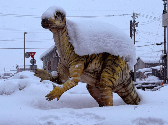 Fukui Prefectural Dinosaur Museum-胜山市必去景点
