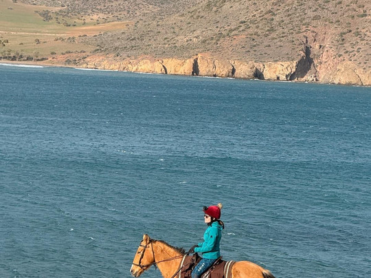 Cabacci Horse Trails-圣何塞必去景点