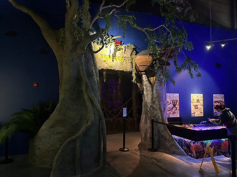 Daytona Aquarium & Rainforest Adventure-代托纳比奇必去景点