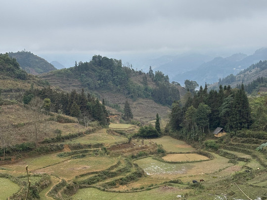Pang Local Guide Bac Ha-Bac Ha必去景点