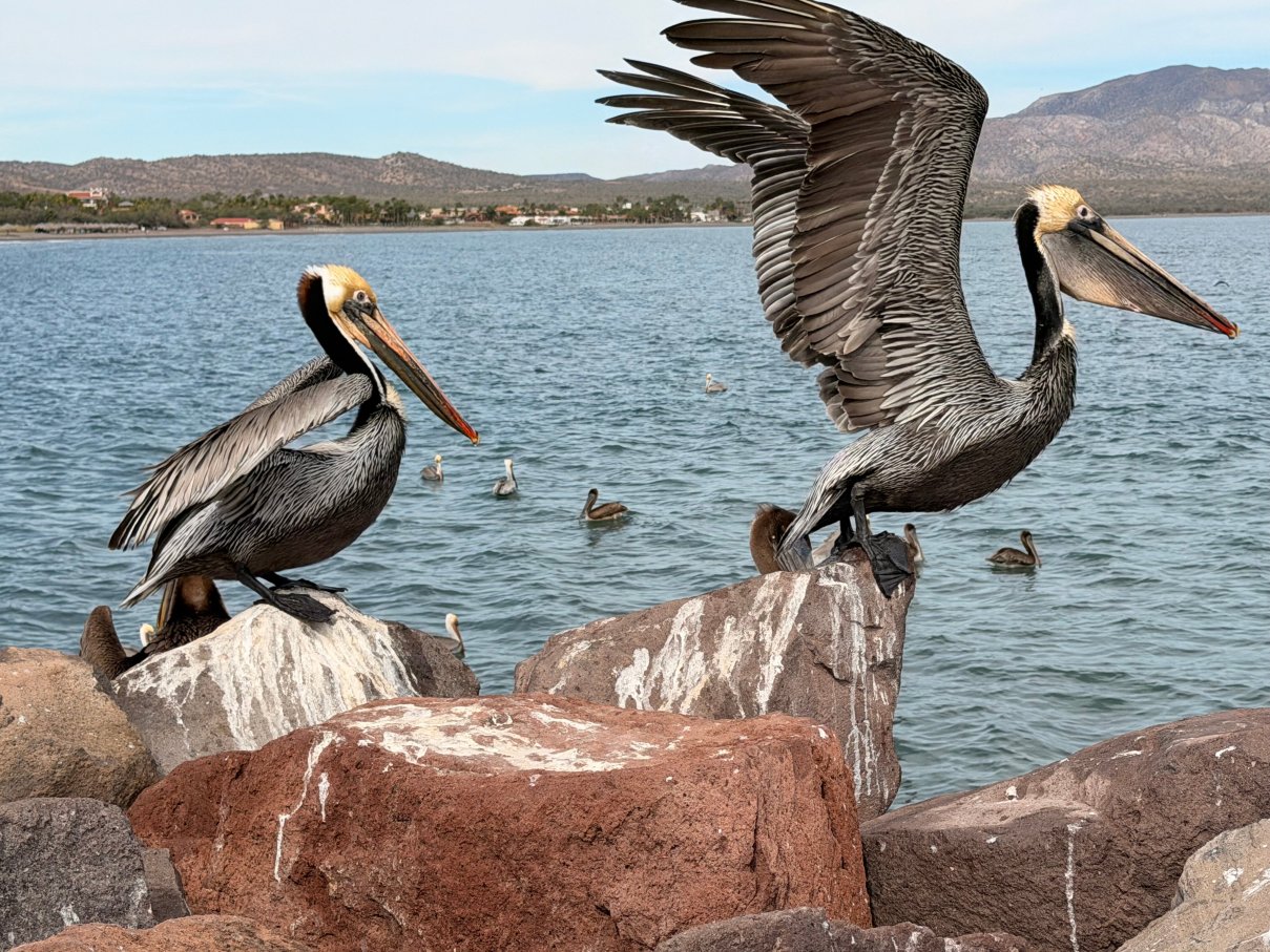 洛雷托拉米森酒店-官方