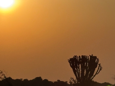 Piece of Uganda Safaris-恩德培必去景点