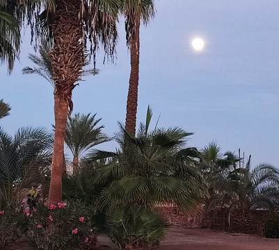 Seaworld Travel Egypt-马萨阿拉姆必去景点