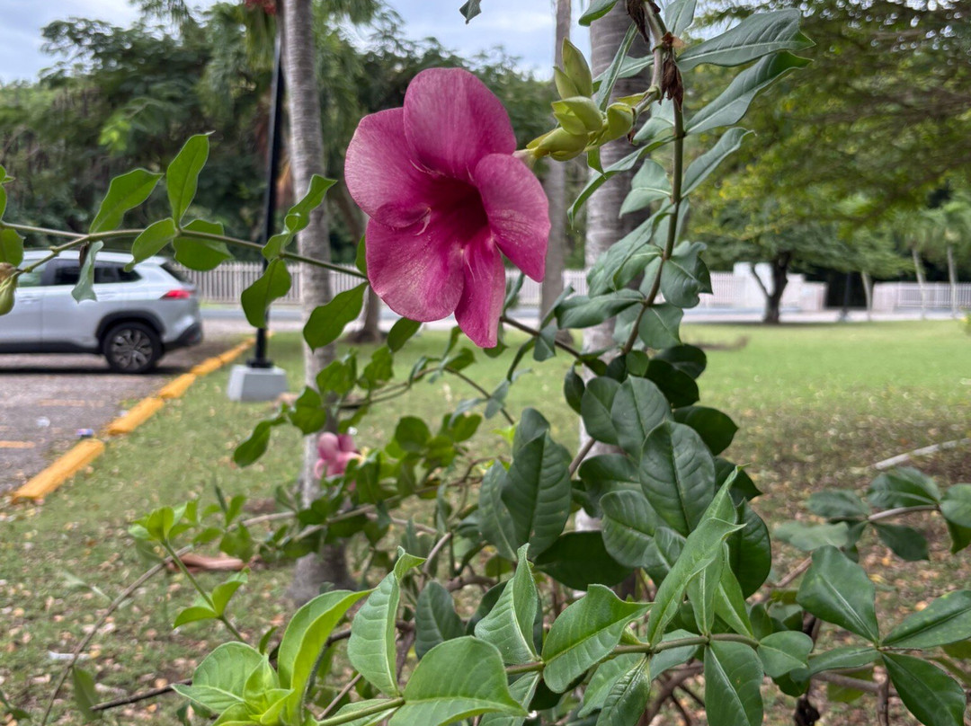 Tibes Indigenous Ceremonial Center-庞塞必去景点