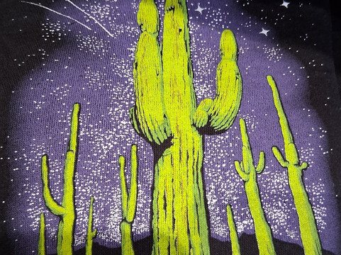 Red Hills Visitor Center-图森必去景点