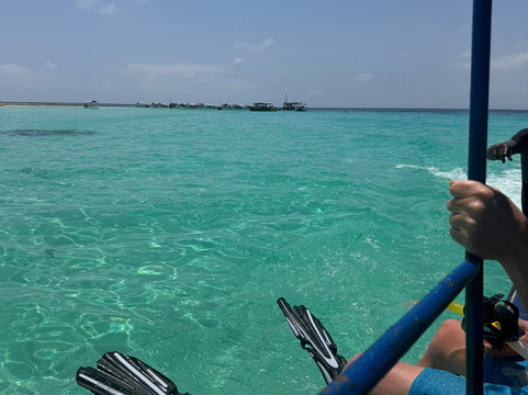 Suha De Zanzibar-帕杰必去景点