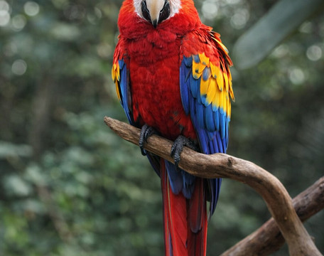 Yumká-Villahermosa必去景点