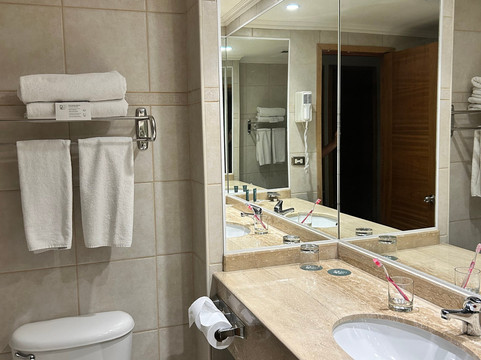 迭戈阿尔马格罗瓦尔迪维亚酒店主图